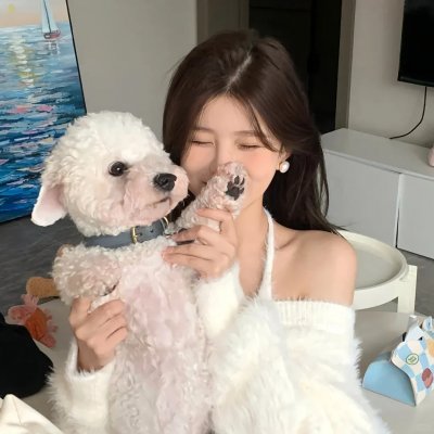 小狗吉米走私事件